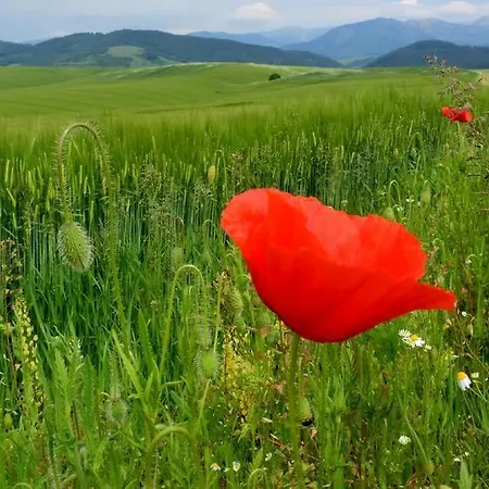 Privat U Gazdu Liptovský Mikuláš